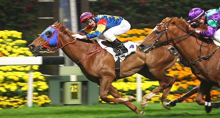 Tìm Hiểu Đua Ngựa PK14 – Sân Chơi Thể Thao Đầy Kịch Tính 6 Tìm Hiểu Đua Ngựa PK14 – Sân Chơi Thể Thao Đầy Kịch Tính