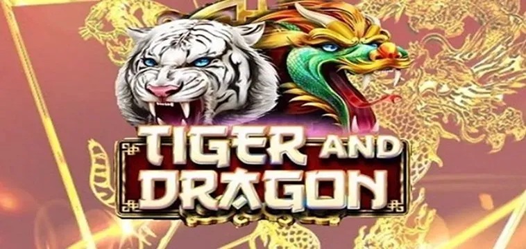 Trải Nghiệm Dragon Tiger Tại PK14: Cảm Hứng Và Chiến Thuật 2 Trải Nghiệm Dragon Tiger Tại PK14: Cảm Hứng Và Chiến Thuật